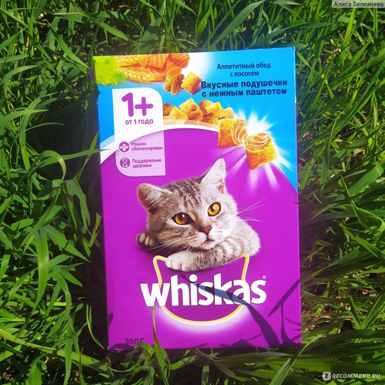 Корм для кошек Whiskas с говядиной 24шт. Х 85 Г