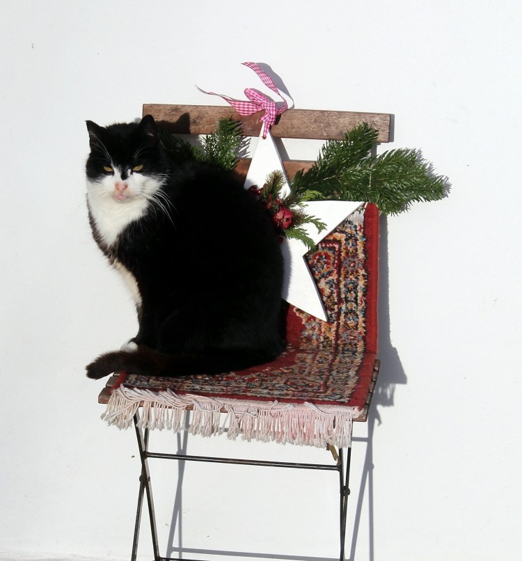 Кот в табуретке