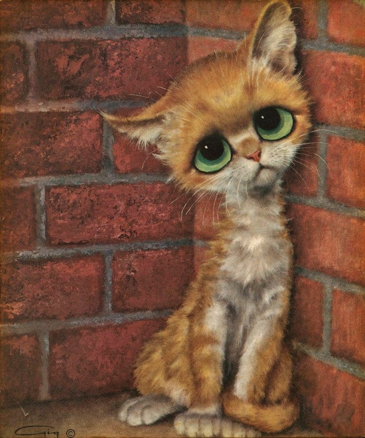 Лицо котика