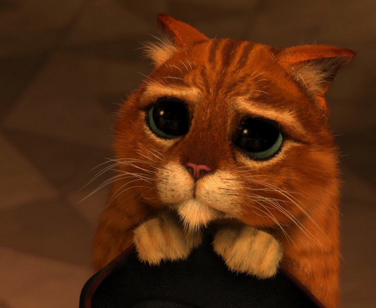 Шрек 2 кот в сапогах