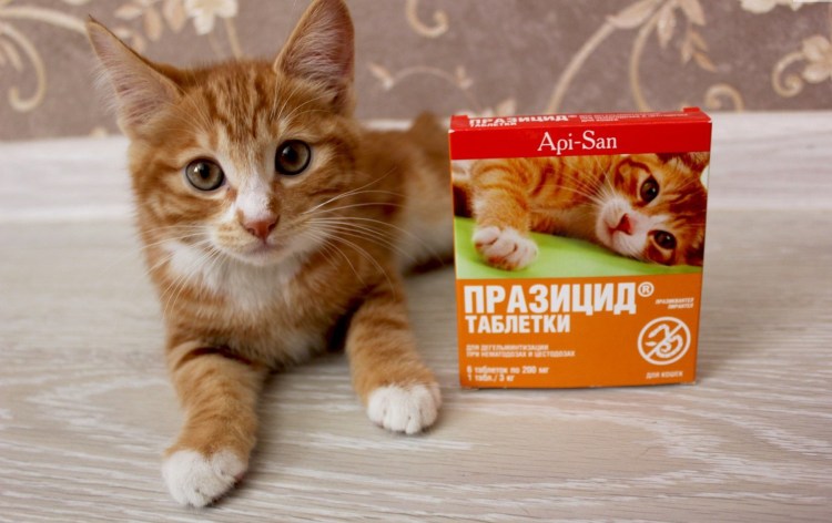 Препараты для котят для подготовки к вакцинации в таблетках