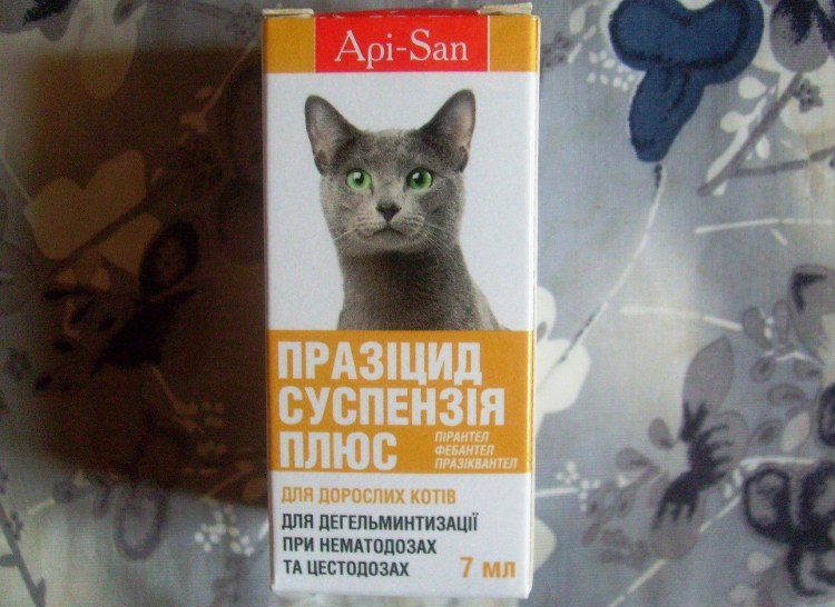 Празицид плюс для котят