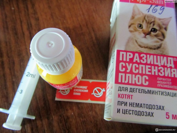 Капли для кошек Празицид суспензия плюс