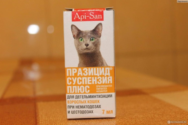 Празицид суспензия для кошек