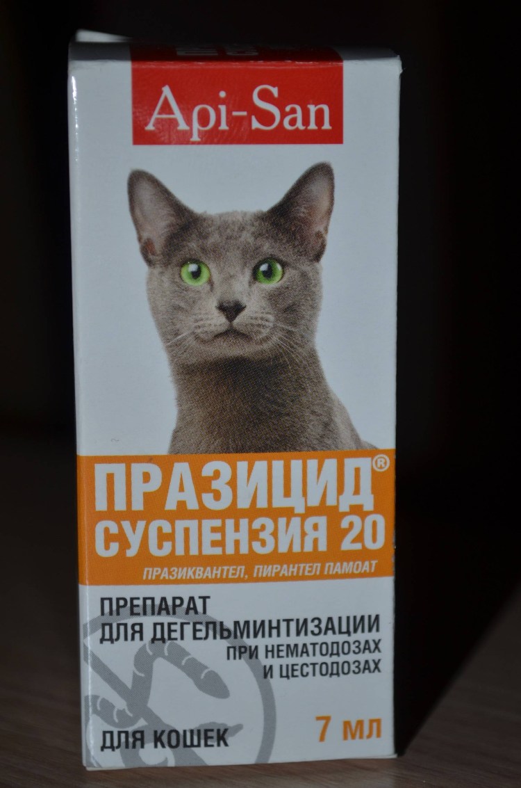 Празицид суспензия для кошек