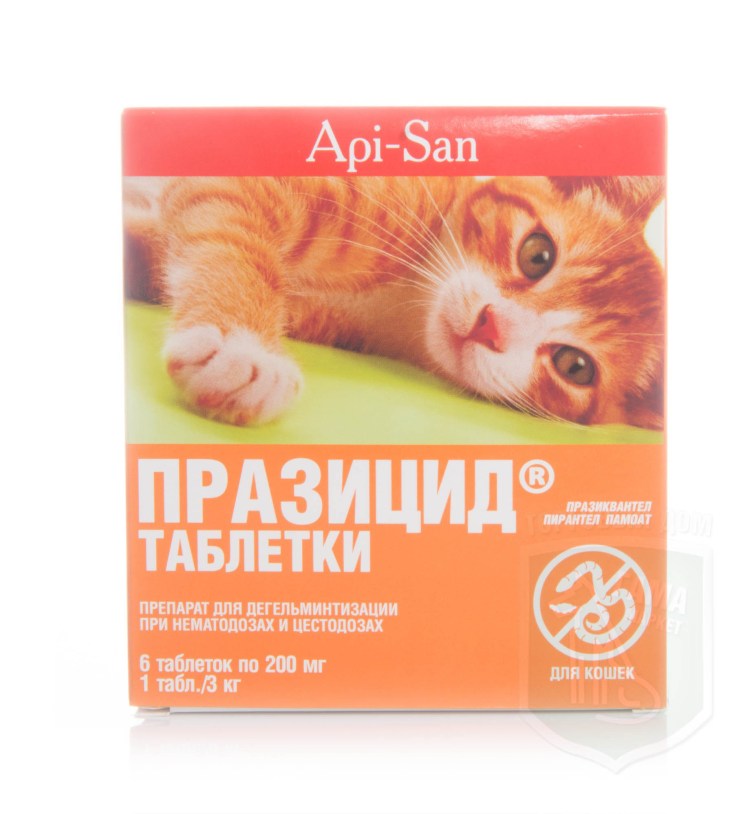 Таблетки от глистов для кошек Празицид