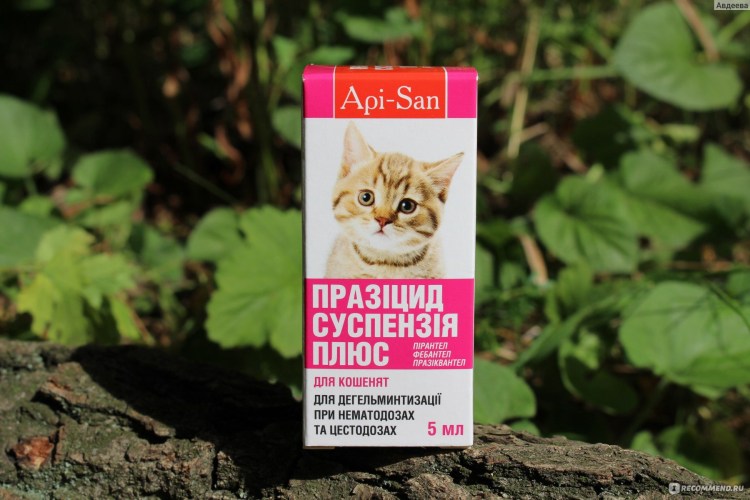 Глистогонное для котят 2 месяца