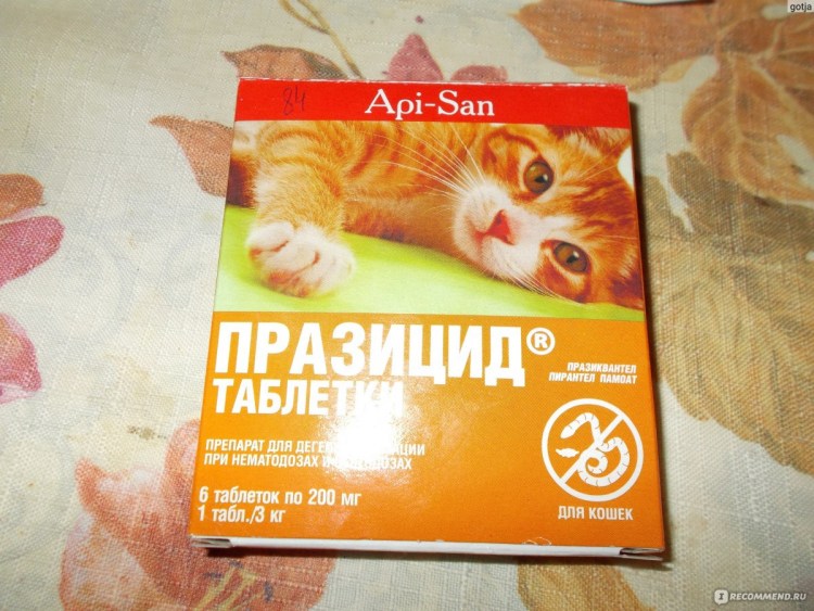 Apicenna Празицид-суспензия плюс для котят 5 мл