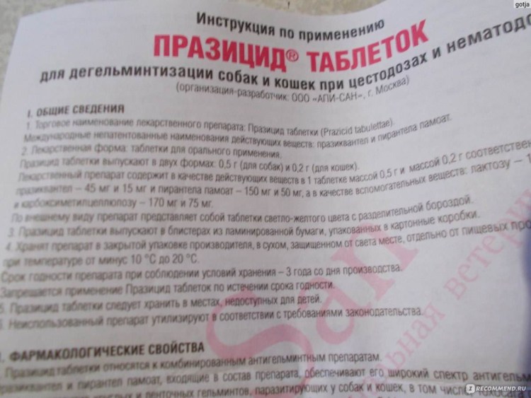 Празицид суспензия для кошек как применять