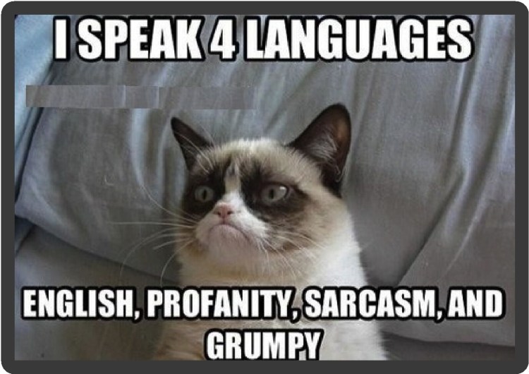 Грампи Кэт порода