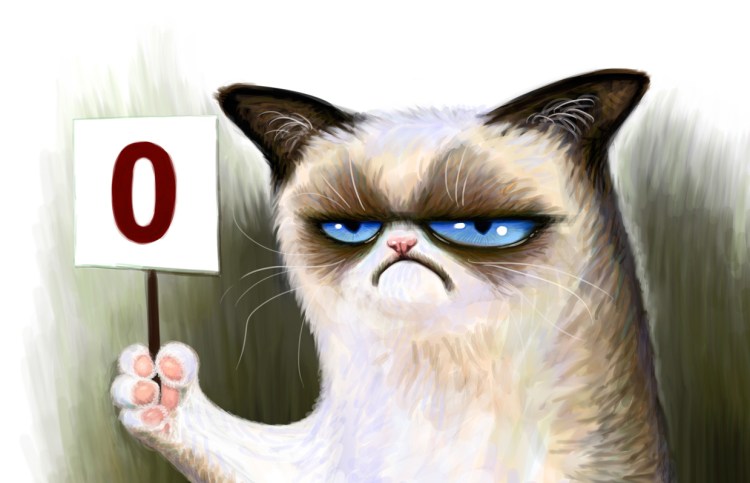 Рыжий кот фу море