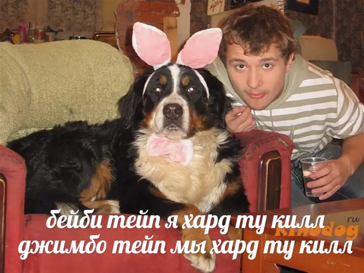 Букины собака Барон