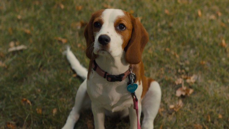 Гена Букин сериал счастливы вместе