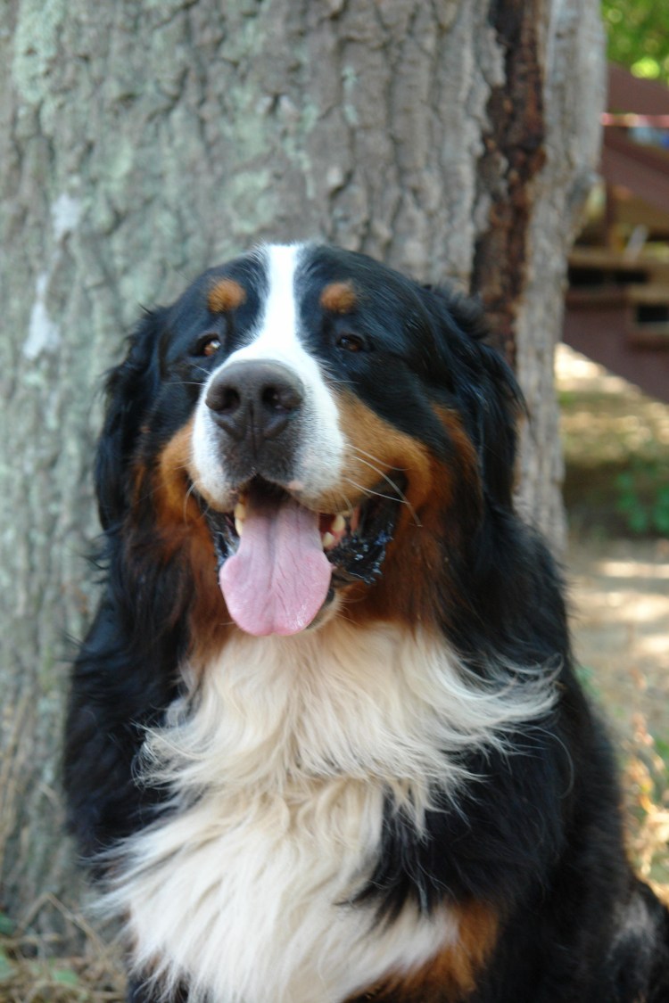 Барон счастливы вместе