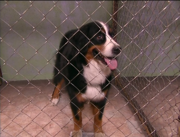 Счастливы вместе американская версия