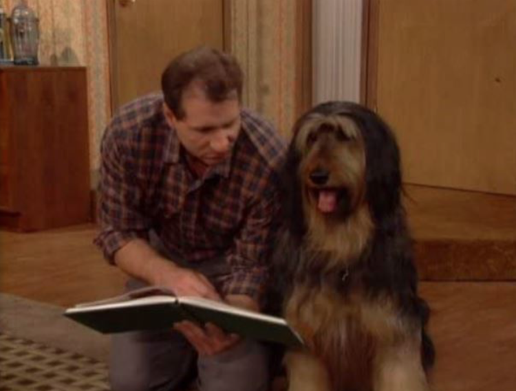 Бернский зенненхунд Барон