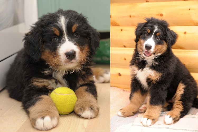 Счастливы вместе 2 сезон 2