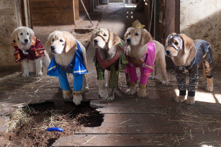 Гарфилд и Одди фильм