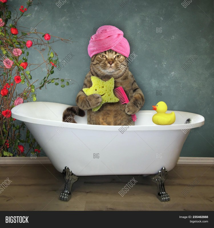 Марио Тестино звезды с полотенцем