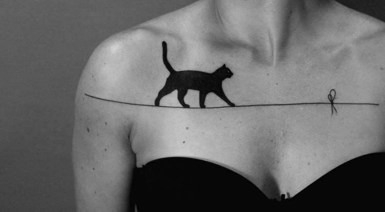 Морщинистый канадский сфинкс