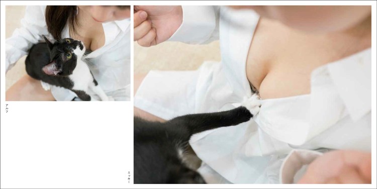 Коллаж кота из женской груди