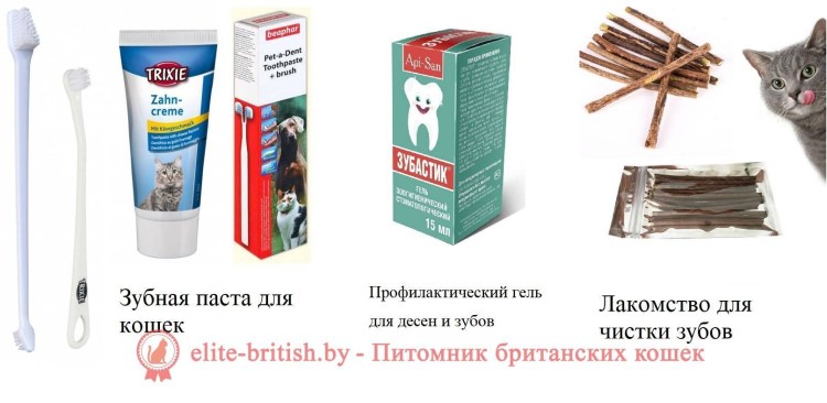 Лакомство для кошек для чистки зубов
