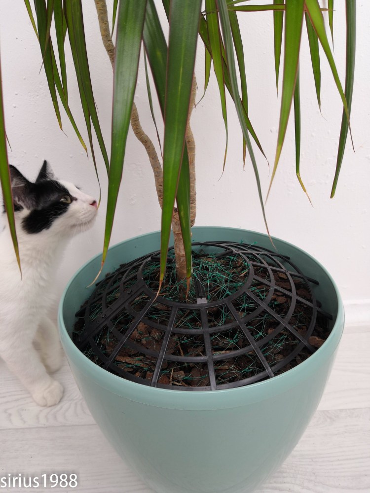 Сетки для цветов от котов