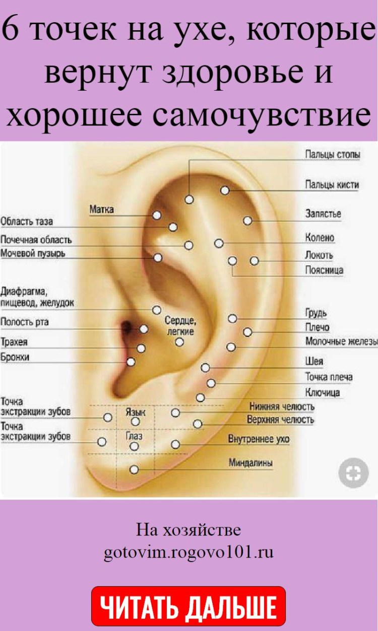 Дерматомикоз (стригущий лишай)