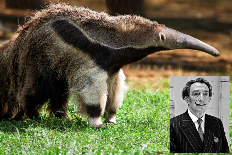 Гигантский муравьед человекоубийца