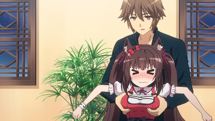 Некопара хозяин