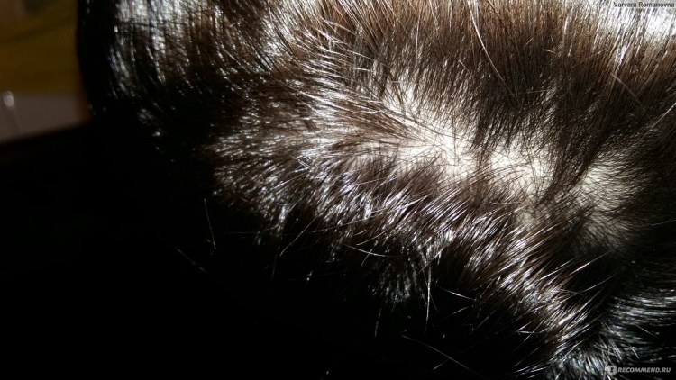 У кота болячки на шее под шерстью