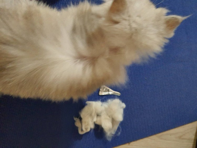 Ранки на голове от Оллин