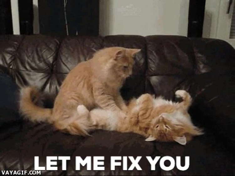 Кот топчет лапами