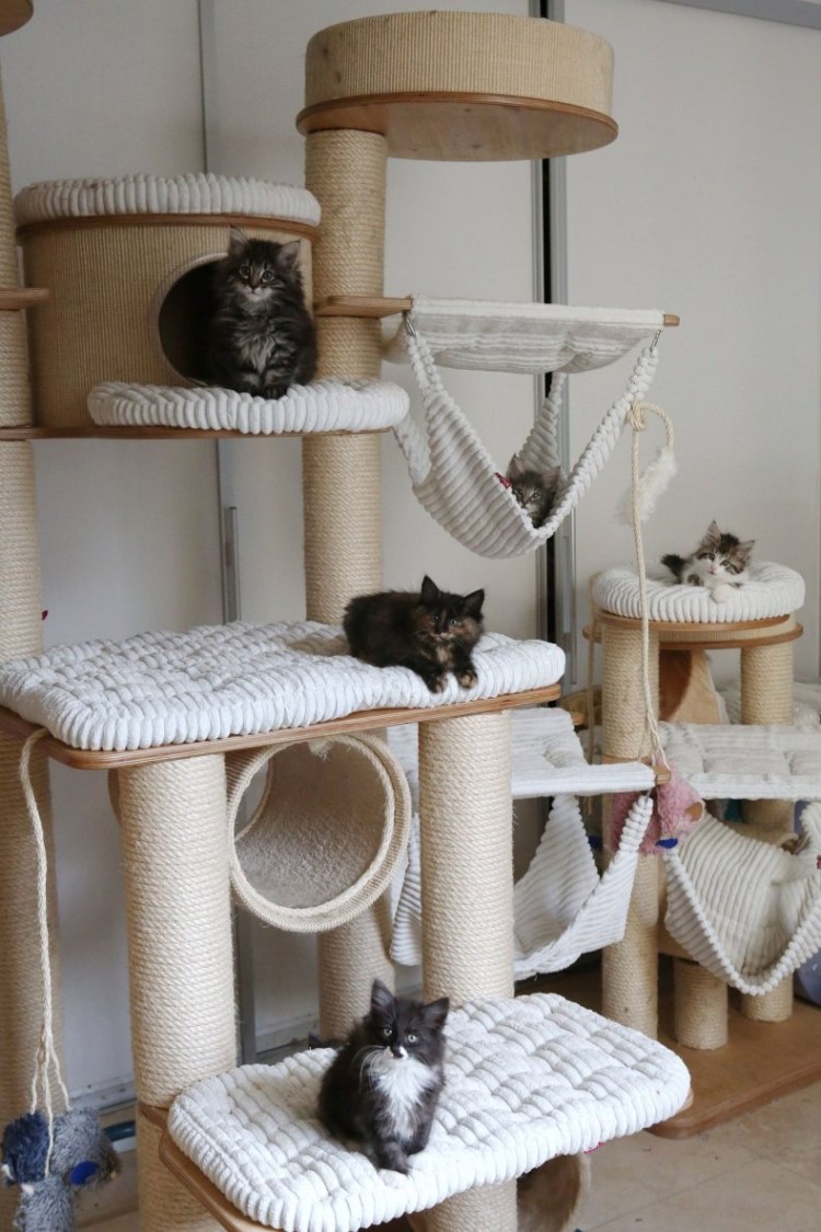 Кошачий домик