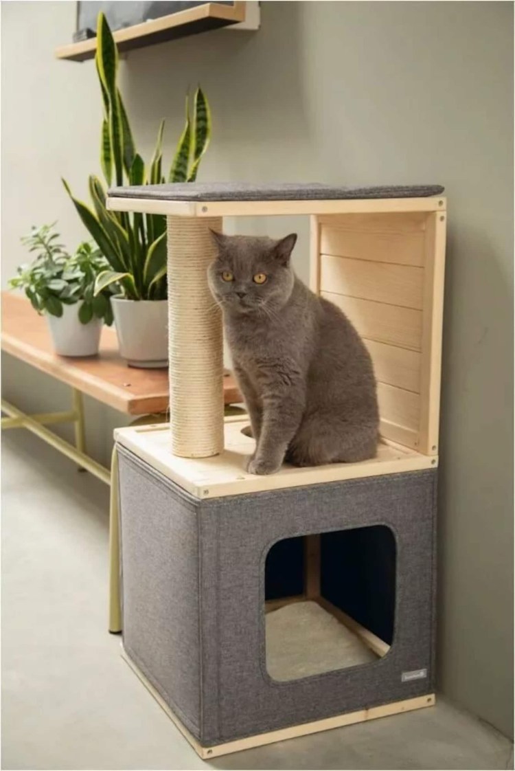 Креативные домики для кошек