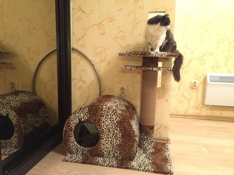 Каркас для кошачьего домика