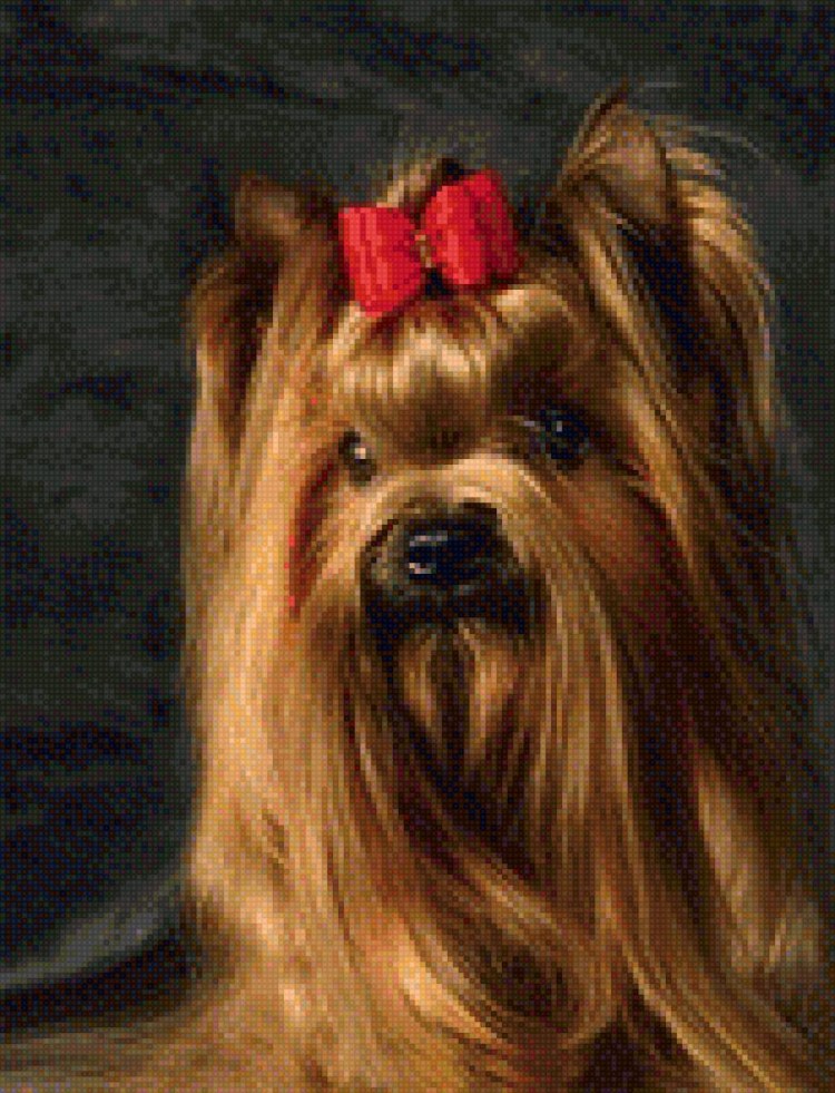 Собачку Монику