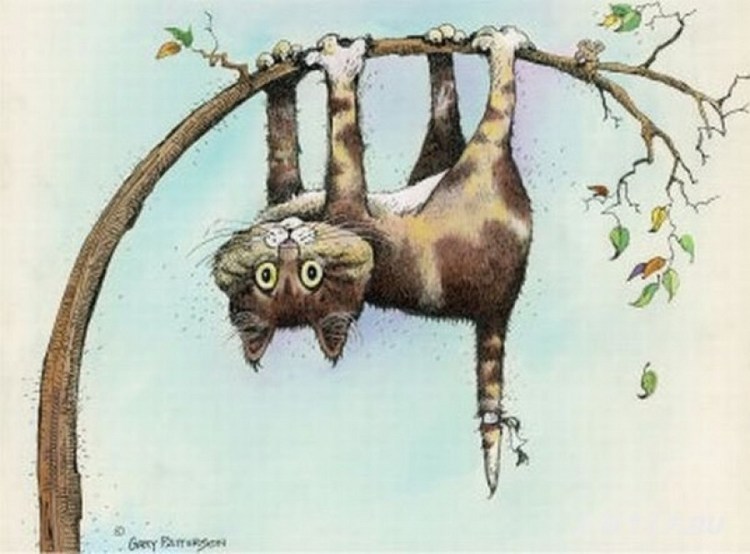 Кот висит на ветке