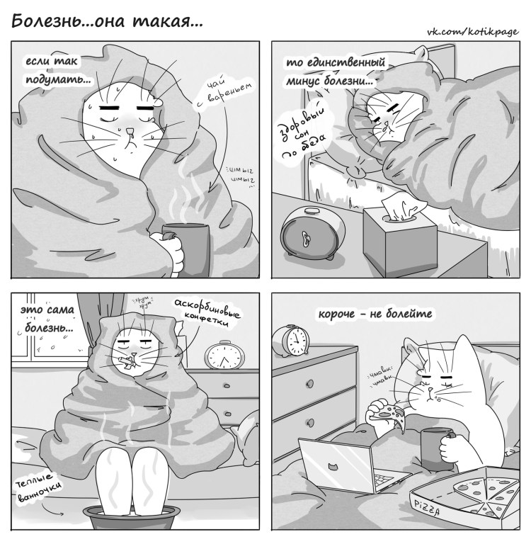 Кот простыл