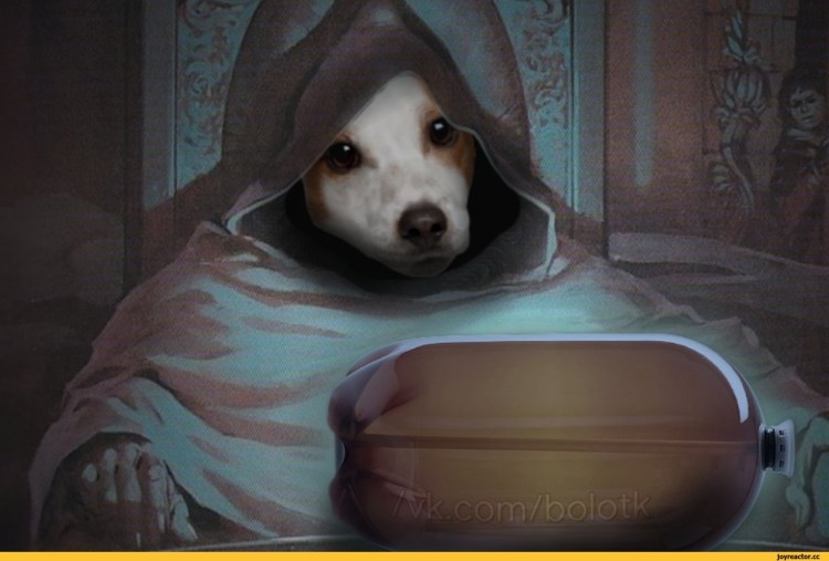 Карликовый Джек Рассел терьер