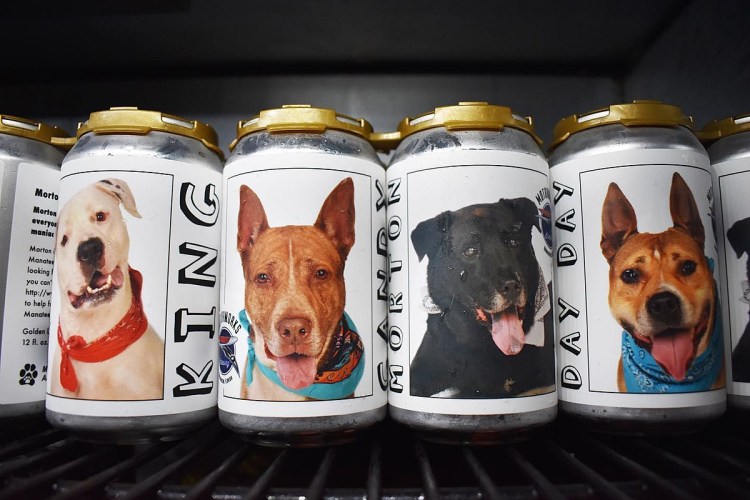 Собака из пива