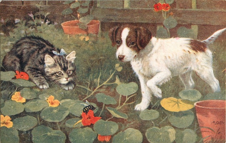 Животные укушенные пчелами