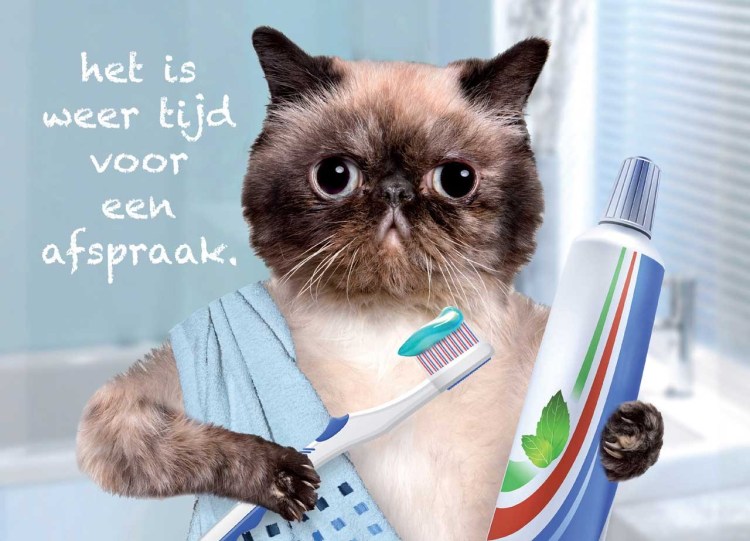 Зубная щетка прикол