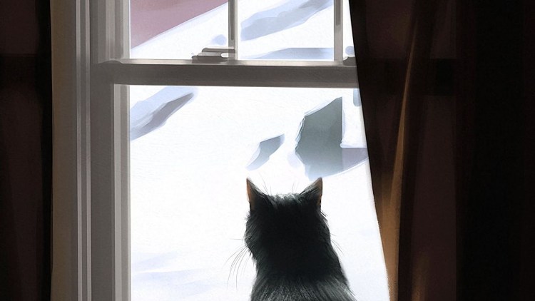 Черная кошка на окне