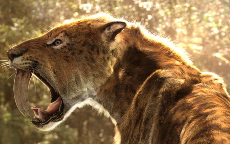 Тилакосмил сумчатый Саблезубый