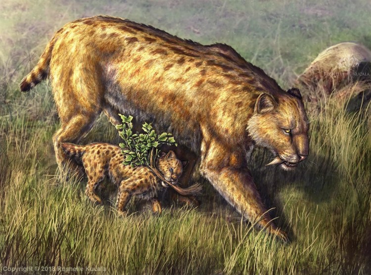 Cмилодон (Саблезубый тигр)