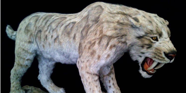 Древние Саблезубые тигры