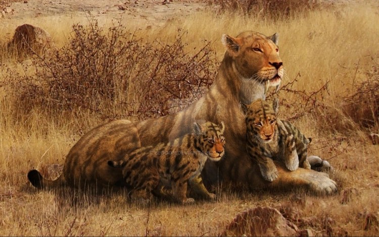 Смилодон популятор