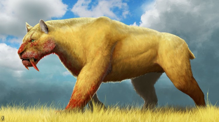 Махайрод Смилодон