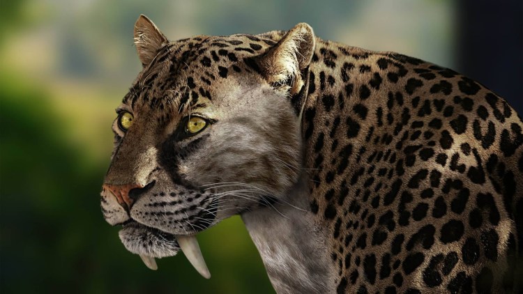 Махайрод Смилодон